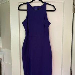Banana Republic Purple Razorback Sleeveless Dress